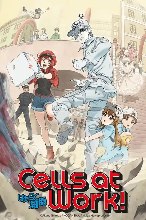 Download Cells at Work! (Season 1) Multi Audio {Hindi English Japanese} Anime Series 480p 720p & 1080p Blu Ray 23 cells at work season 1
