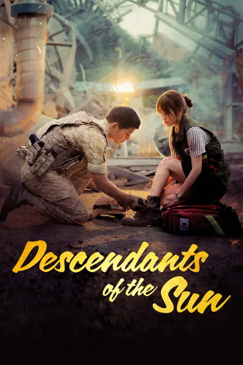 Download Descendants Of The Sun (Season 1) Dual Audio {Hindi Korean} ZEE5 WEB DL Series 720p | 1080p 14 descendants of the sun season 1