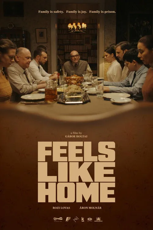 Download Feels Like Home (Season 1 β 2) Hindi Lionsgate Play Complete WEB Series 480p | 720p HDRip 3 feels like home season 1