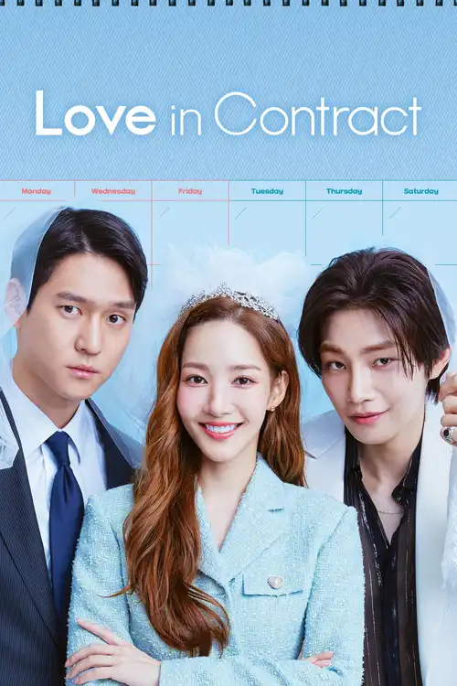Download Love in Contract (Season 1) Dual Audio {Hindi Korean} K Drama Series 480p 720p & 1080p WEB DL 25 love in contract season 1