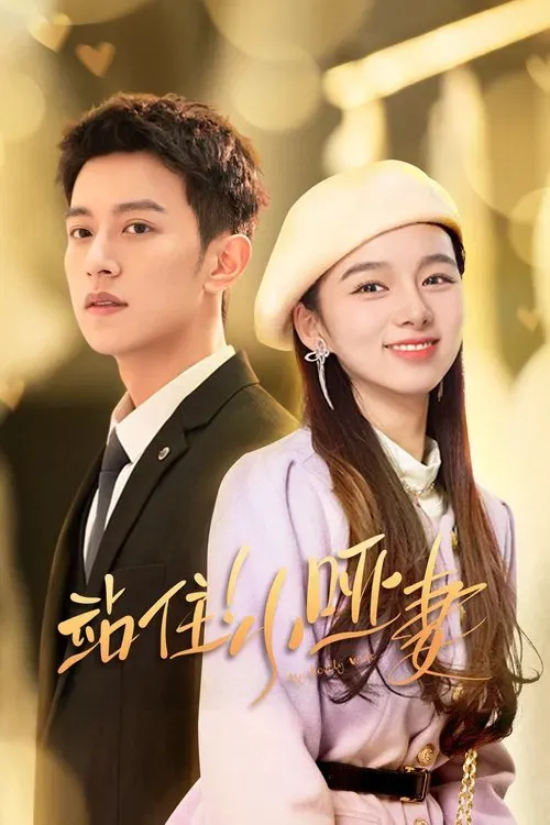 Download My Lovely Wife (Season 1) Hindi ORG Dubbed C Drama Series 480p 720p & 1080p WEB DL 1 my lovely wife season 1