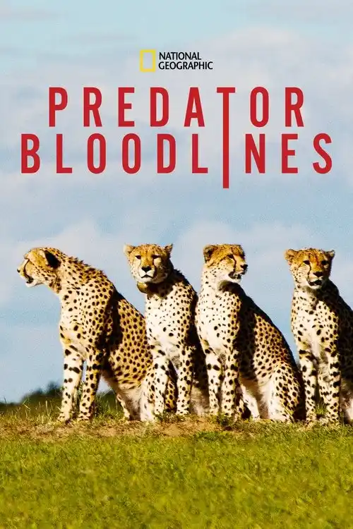 Download Predator Bloodlines (2021) Season 1 Hindi Complete DSNP WEB Series 480p | 720p HDRip 7 predator bloodlines 2021