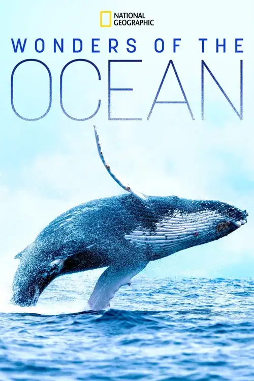 Download Wonders of the Ocean (2021) Season 1 Hindi Complete DSNP WEB Series 480p | 720p HDRip 5 wonders of the ocean 2021